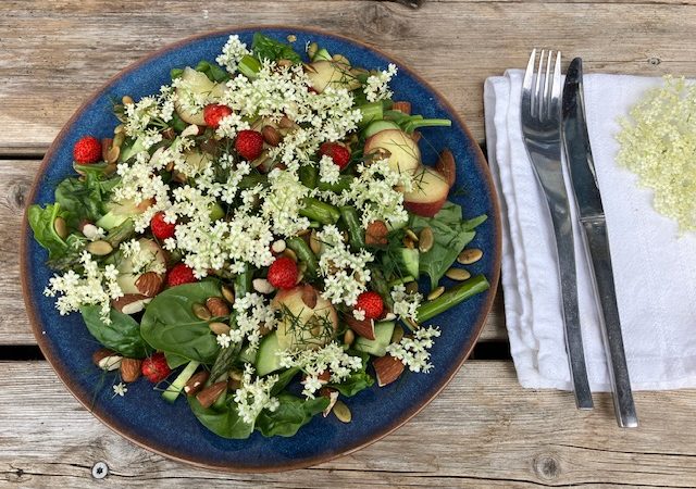 sommersalat med hyldeblomst