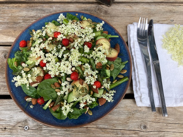 sommersalat med hyldeblomst